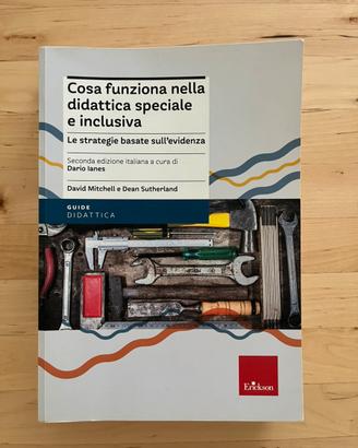 Cosa funziona nella didattica speciale e inclusiva
