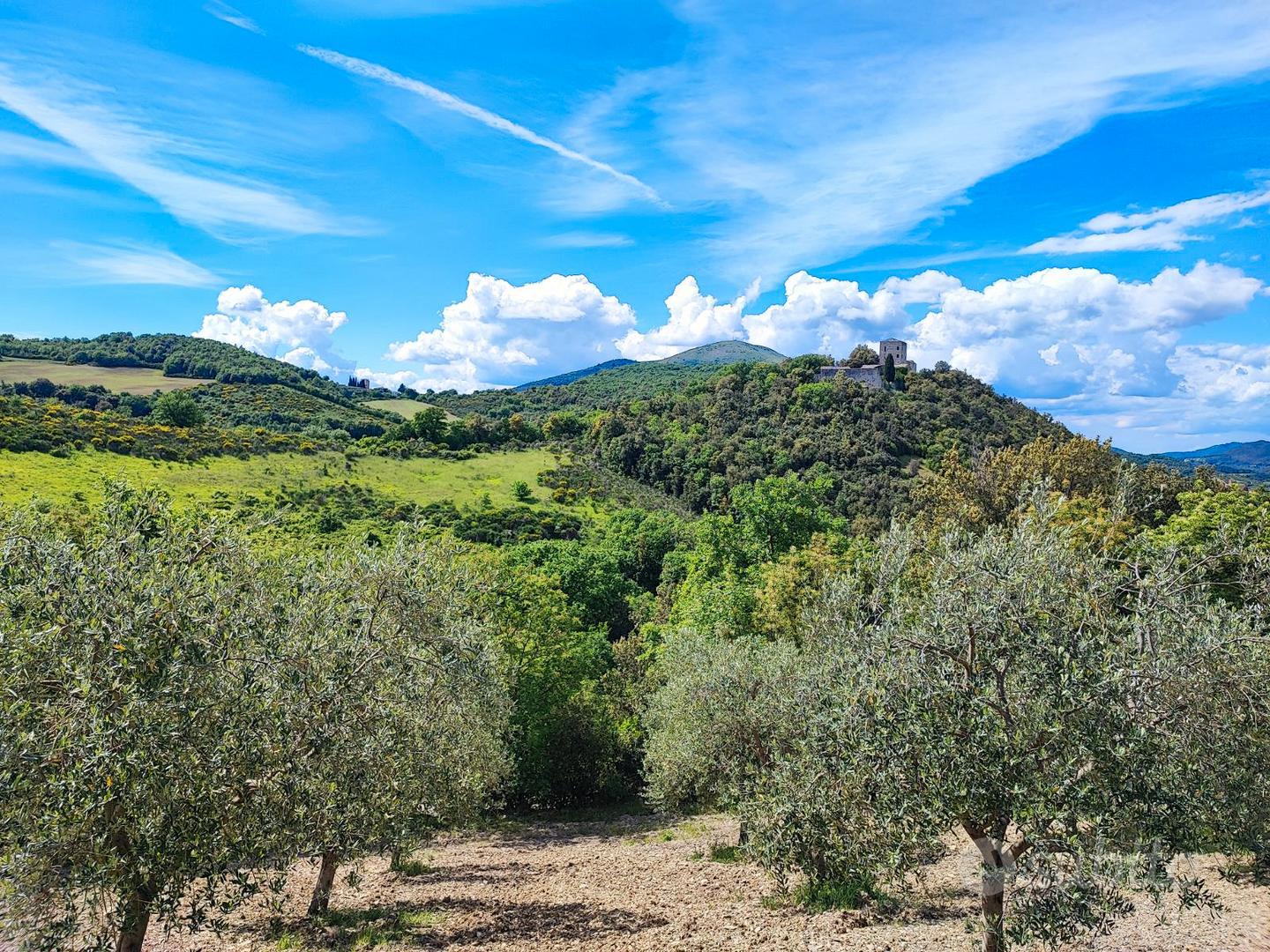 Terreno agricolo con attrezzatura e pozzo - Altro