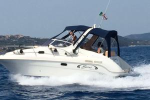 Saver riviera 24 a benzina