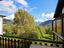Immagine 16