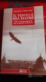 IL VENTO E’ MIA MADRE  - B. HEART E MOLLY LARKIN