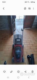 tagia erba