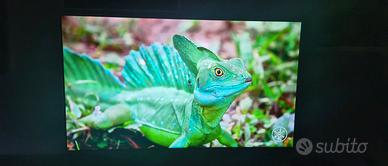 TV LG 4K U850V 60 pollici