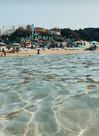 Estate 2026 San Pietro in Bevagna