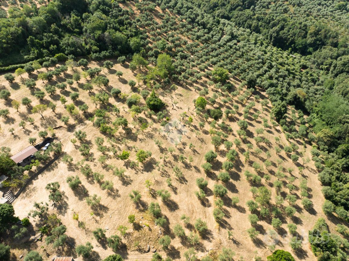 TER. AGRICOLO A SERMONETA - Vista 4