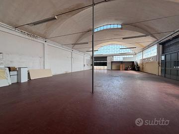 PE S132 Capannopne con piazzale zona ARCA