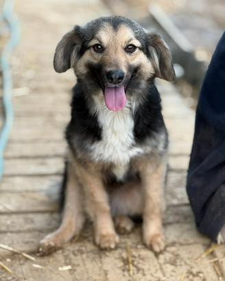 LELA, dolcissima ma tanto sfortunata