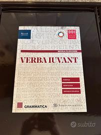 Verba Iuvant - Grammatica