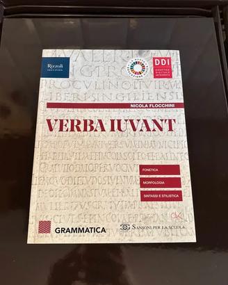 Verba Iuvant - Grammatica