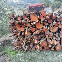 legna di quercia 