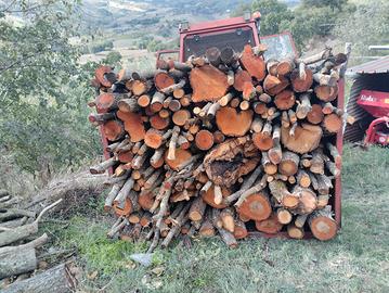 legna di quercia 