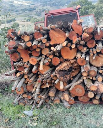 legna di quercia 
