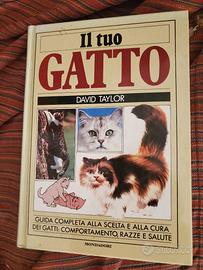 Il tuo gatto