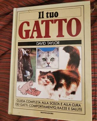 Il tuo gatto