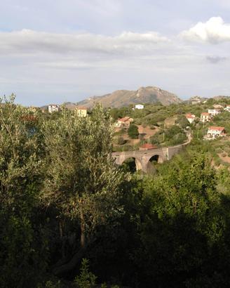 Terreno Edificabile - Monreale