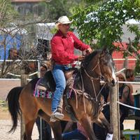 Cavallo quarter