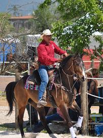 Cavallo quarter