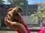 Immagine 3