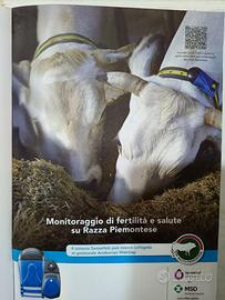 Centralina e orecchini salute per bovini