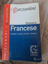 dizionario 