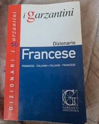 dizionario 