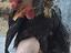 Immagine 3