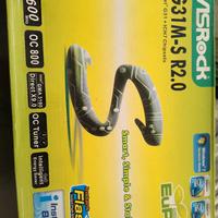 Asrock g31m-s R2.0