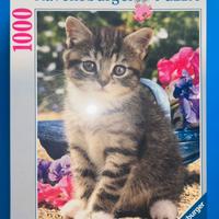 Puzzle Ravensburger 1000 pezzi