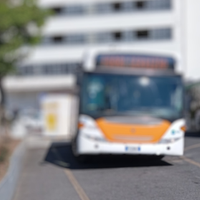 Autista Professionista