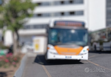 Autista Professionista