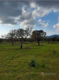 Terreno edificabile 1 ha