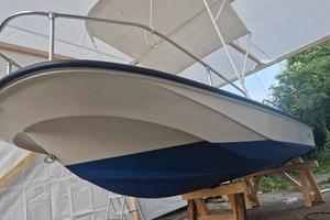 boston whaler 15