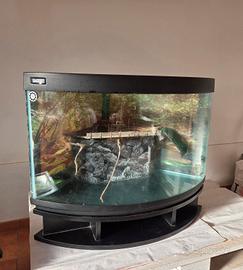 acquario angolare 