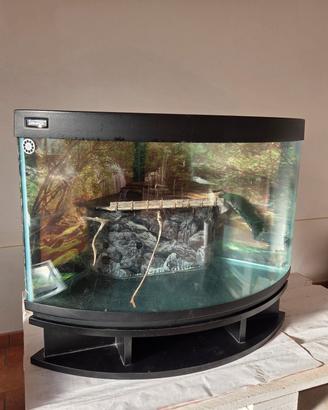 acquario angolare 
