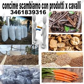 Stallatico equino x prodotti per cavalli