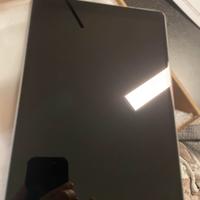 IPad Pro 10,5 256 GB wi fi + cellular