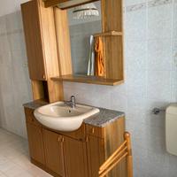 Bagno tinta legna