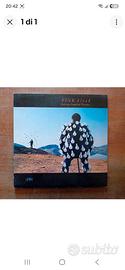 vinili Pink Floyd in buono stato.
