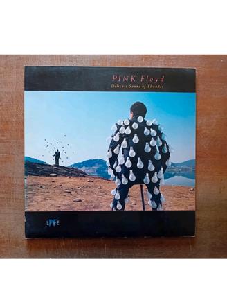 vinili Pink Floyd in buono stato.
