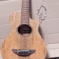 chitarra acustica elettrica apx600 nuova di zecca