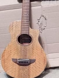 chitarra acustica elettrica apx600 nuova di zecca