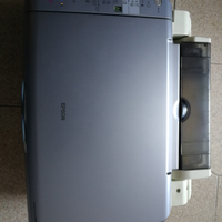 Epson DX4800