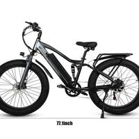 Bicicletta elettrica Pudari TP26 