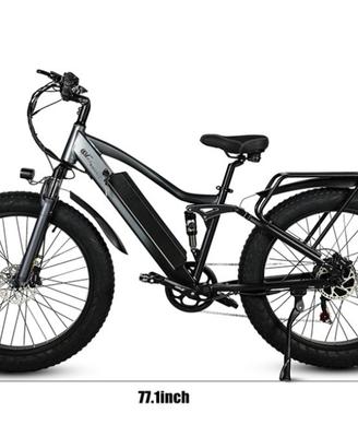 Bicicletta elettrica Pudari TP26