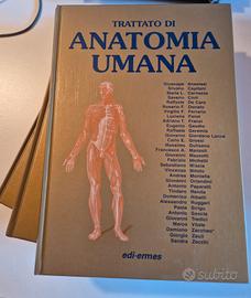 Trattato di Anatomia Umana, Anastasi 3 vol