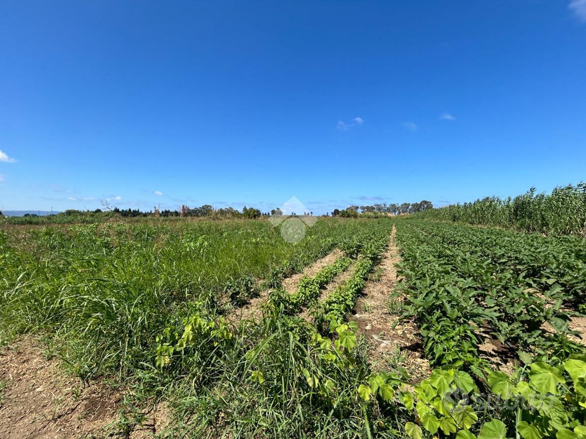 TER. AGRICOLO A LAMEZIA TERME - Altro