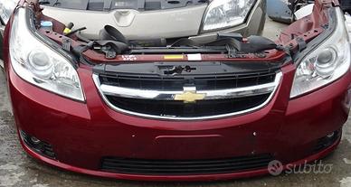 Musata completa epica 2008