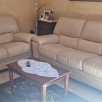  Due divani in pelle.