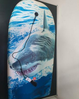 Tavola da surf per adulti e bambini