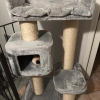 Tira graffi per main coon